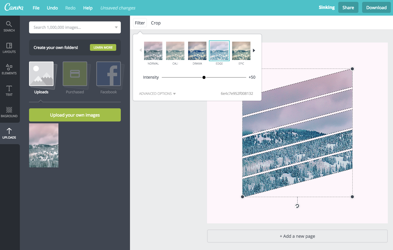 add an image filter in canva