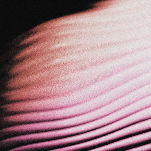 Everywhere, Everything - Polar