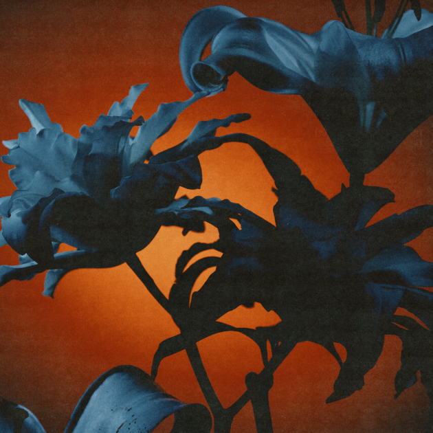 Instant Rewards - Tides From Nebula