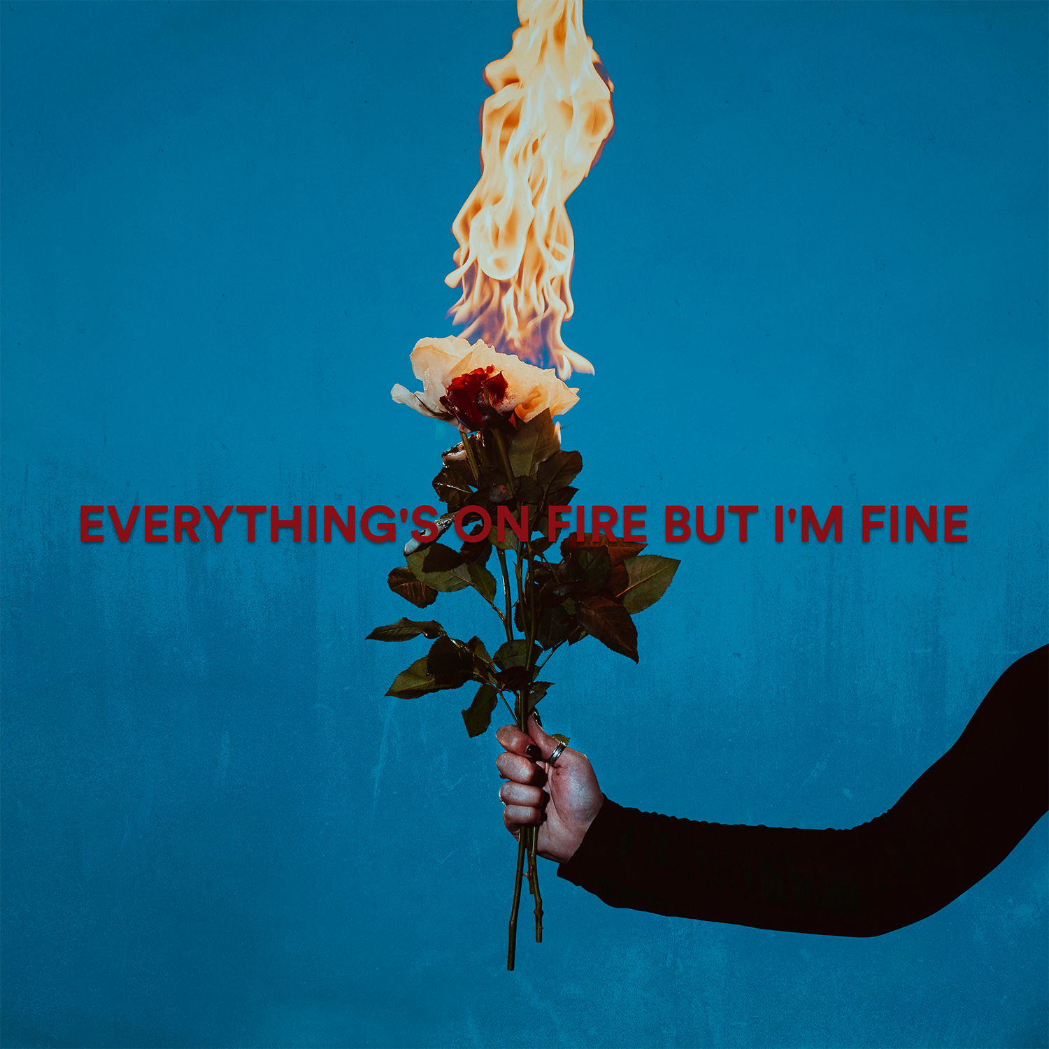 Everything's On Fire But I'm Fine - As December Falls