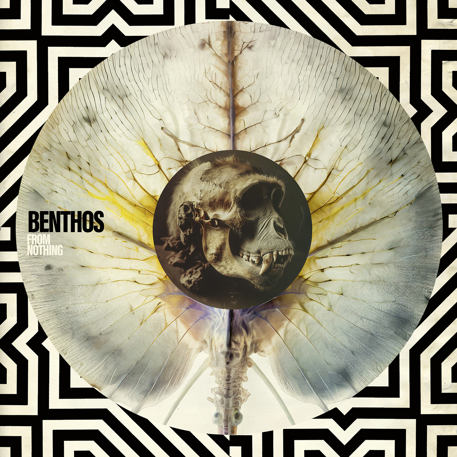From Nothing - Benthos