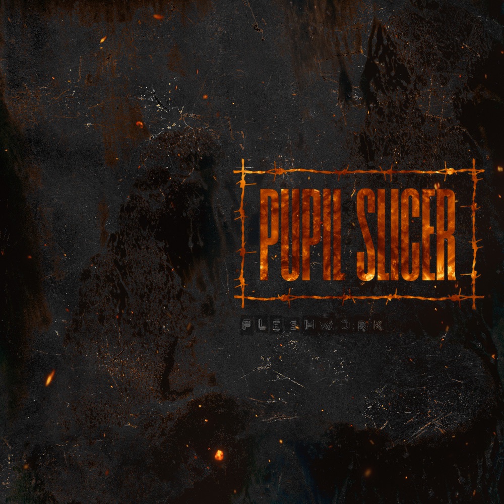 Fleshwork - Pupil Slicer